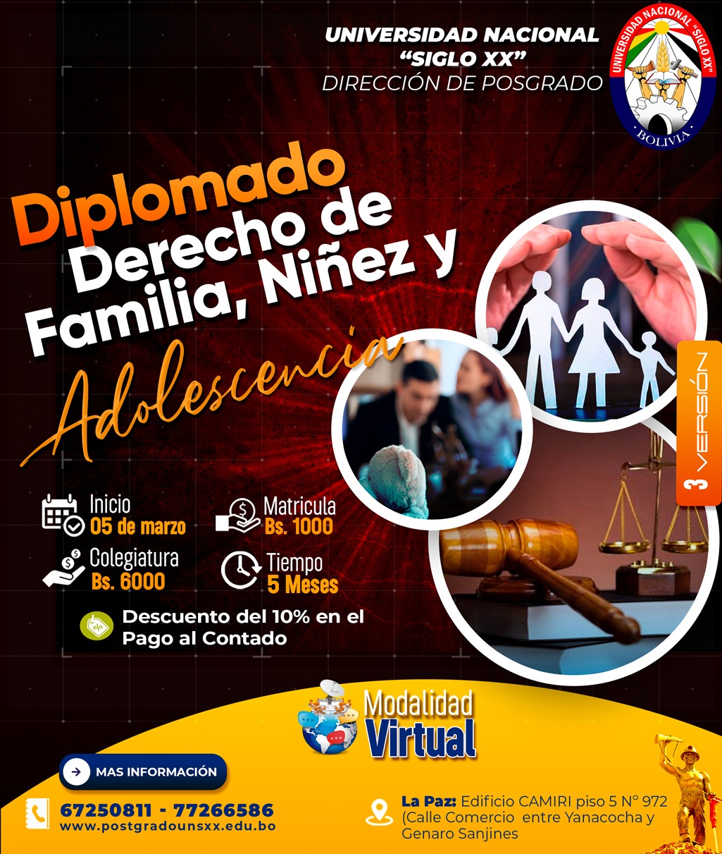 DERECHO DE FAMILIA NIÑEZ Y ADOLESCENCIA  (D.T. Derecho)
